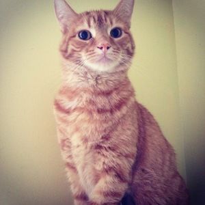 Meet your Posher, Stefanie